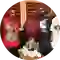Goodie Mob (thumbnail)