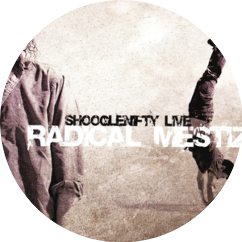 Shooglenifty