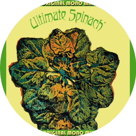 Ultimate Spinach