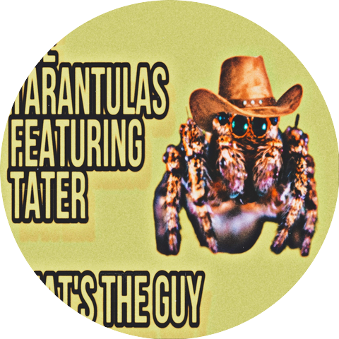 The Tarantulas