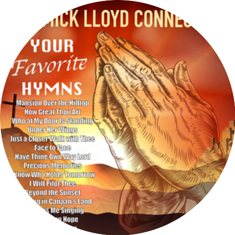 The Mick Lloyd Connection