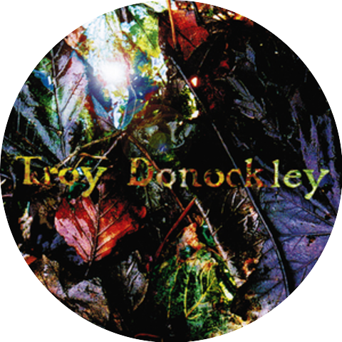 Troy Donockley
