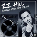 Z.Z. Hill