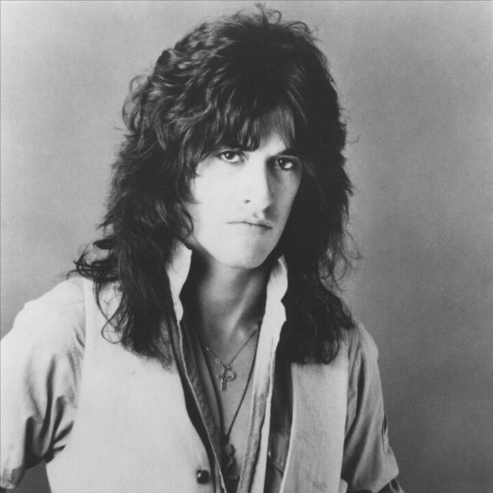 The Joe Perry Project