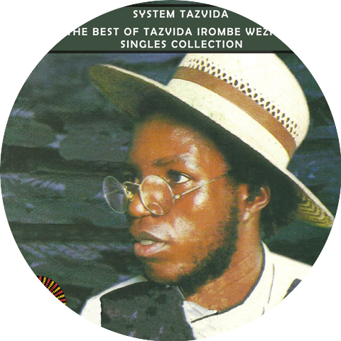 System Tazvida
