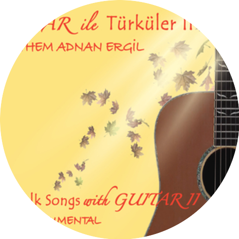 Ethem Adnan Ergil