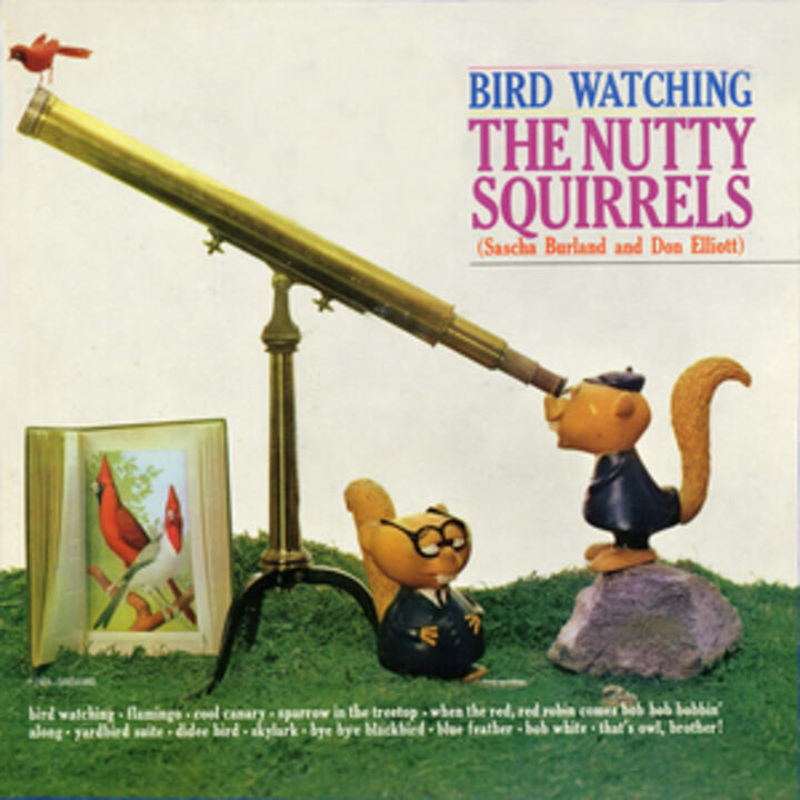 The Nutty Squirrels