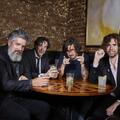 The Mountain Goats