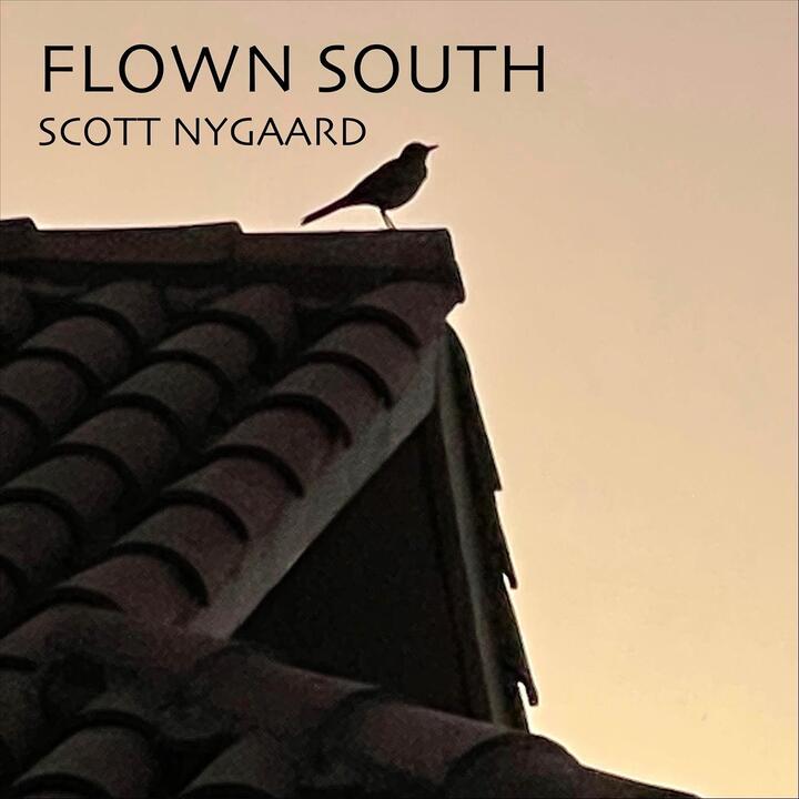 Scott Nygaard