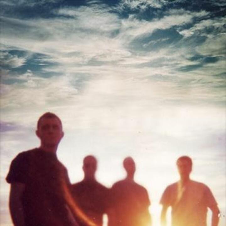 A Shoreline Dream