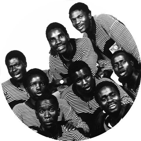 Black Umfolosi