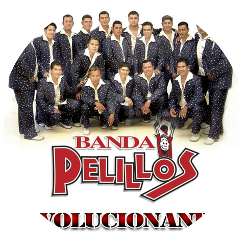Banda Pelillos