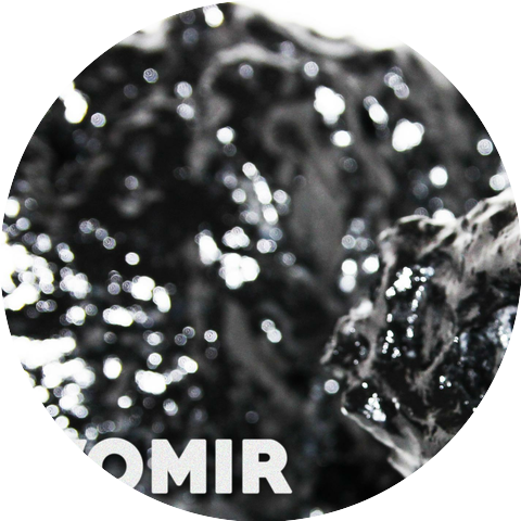 Vomir