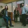 The Whigs