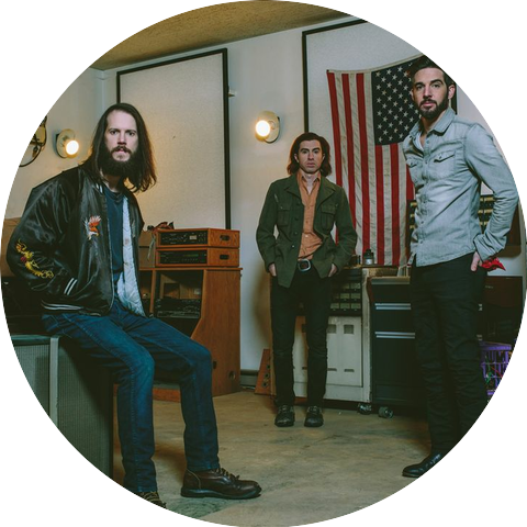 The Whigs