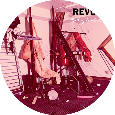 Revl9n