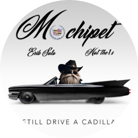 Mochipet