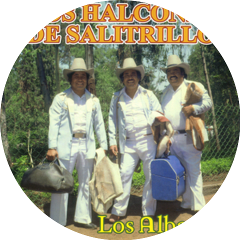 Los Halcones de Salitrillo