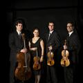 Quatuor Molinari