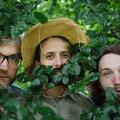 Bombadil
