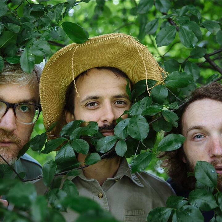 Bombadil