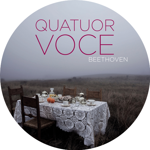 Quatuor Voce