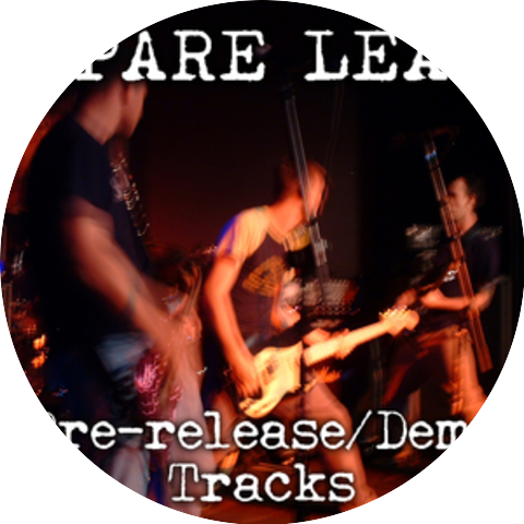 Spare Lead