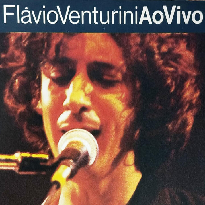 Flávio Venturini