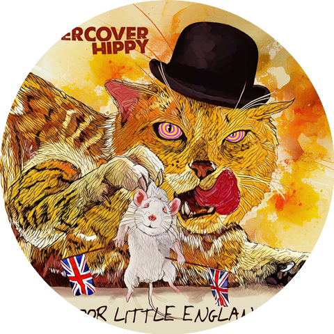 The Undercover Hippy