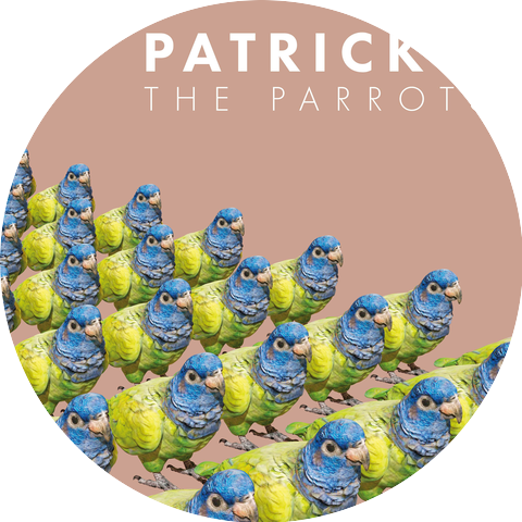 Patrick L