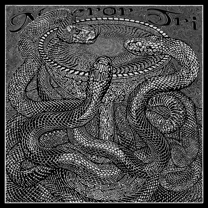 Maeror Tri