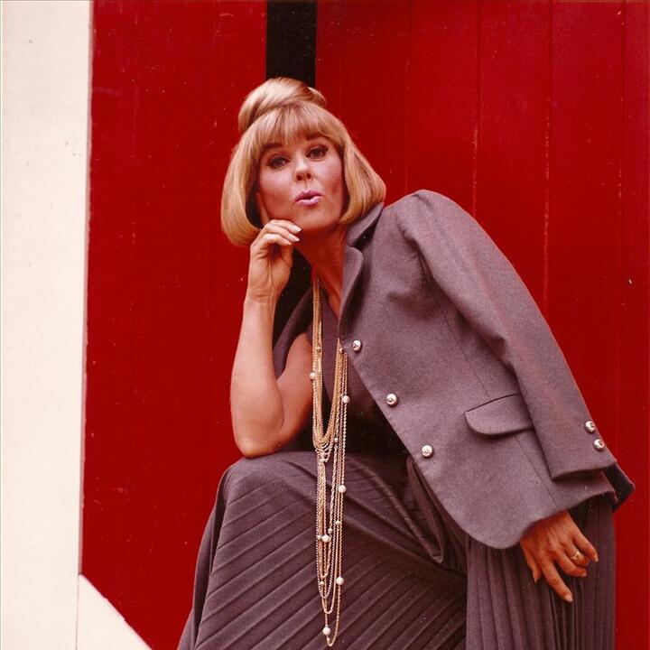 The Doris Day Orchestra