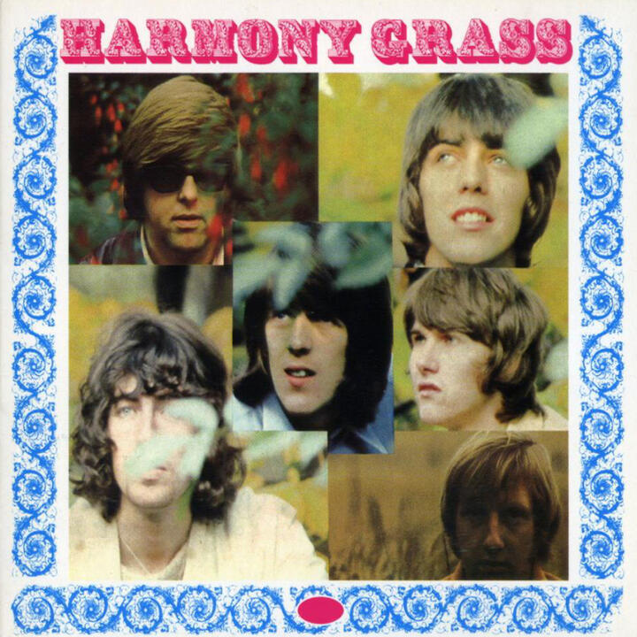 Harmony Grass