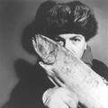 Hector Zazou