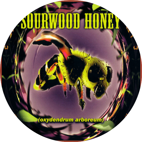 Sourwood Honey