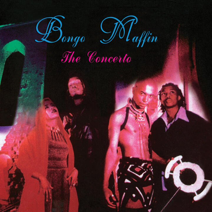 Bongo Maffin