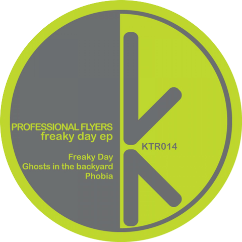 Professional Flyers