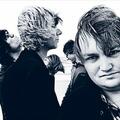 Tim Knol