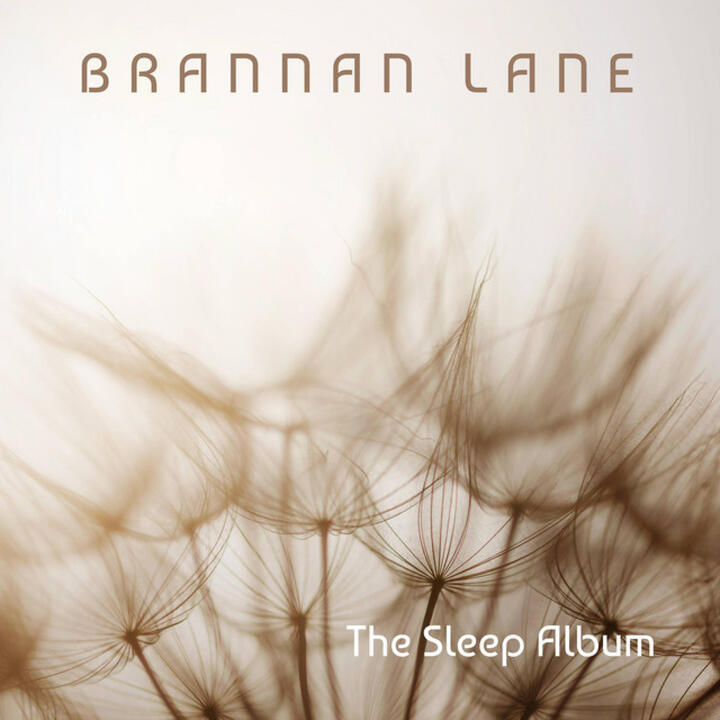 Brannan Lane