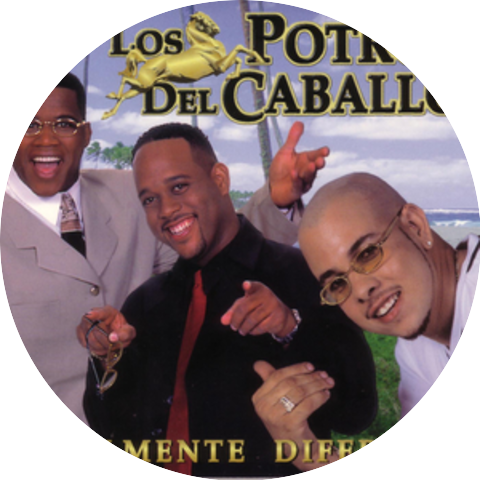 Los Potros del Caballo
