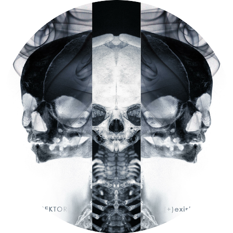 Die Sektor
