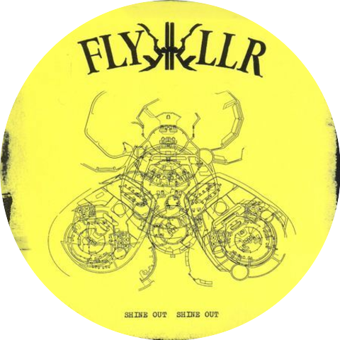 Flykkiller
