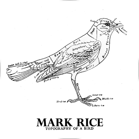 Mark Rice