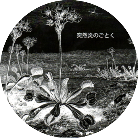 LSD-March