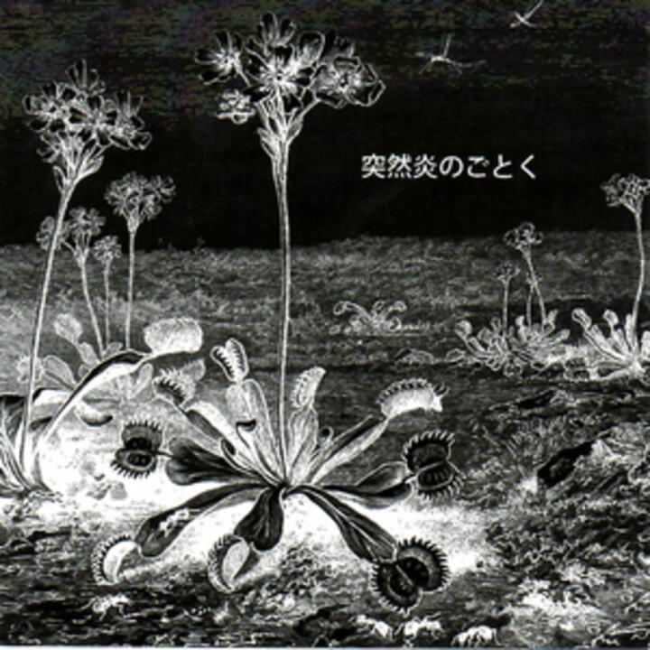 LSD-March