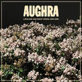 Aughra