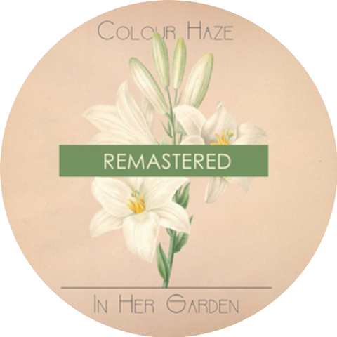 Colour Haze