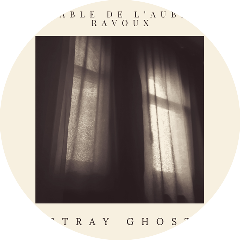 Stray Ghost