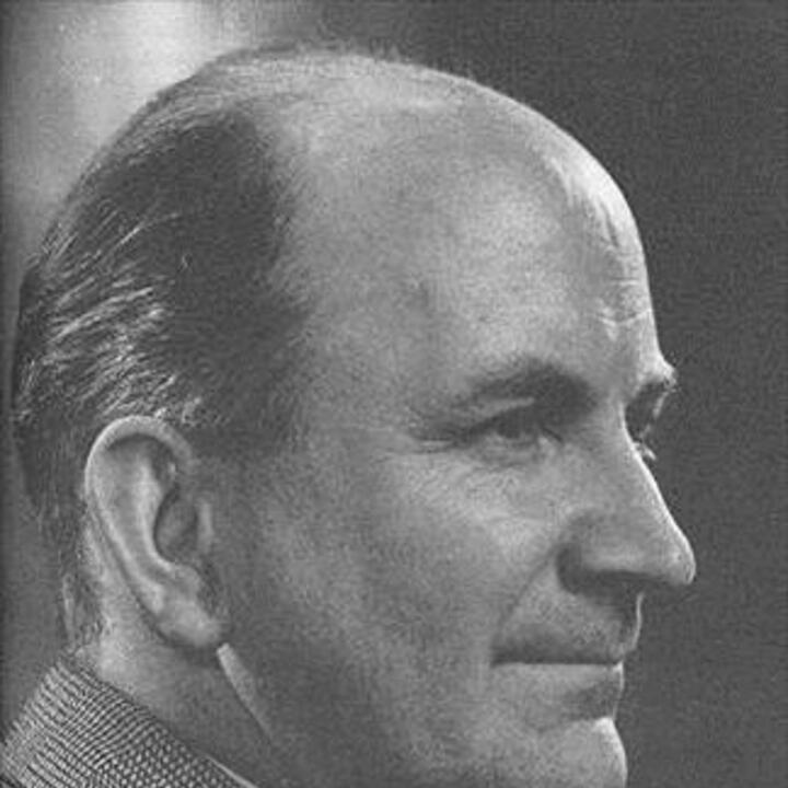 Henk Badings