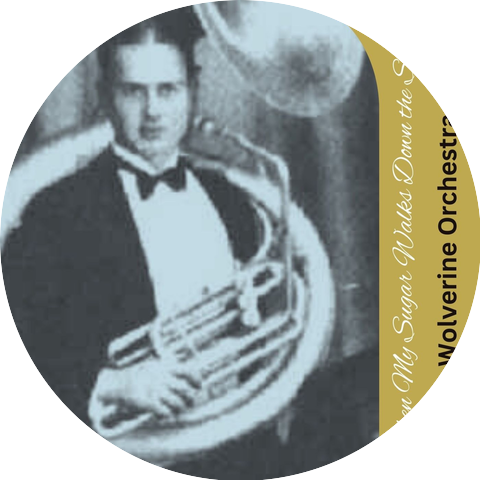 The Wolverine Orchestra